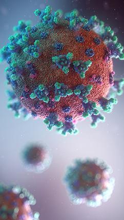 coronavirus.jpg