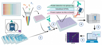 publication_GPCR_may10.PNG