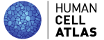 HCA_logo_May8.png