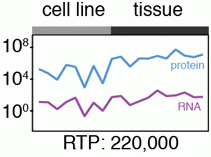 graphic-1.gif